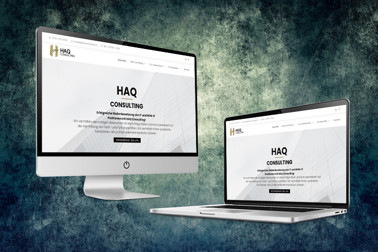 HAQ Consulting